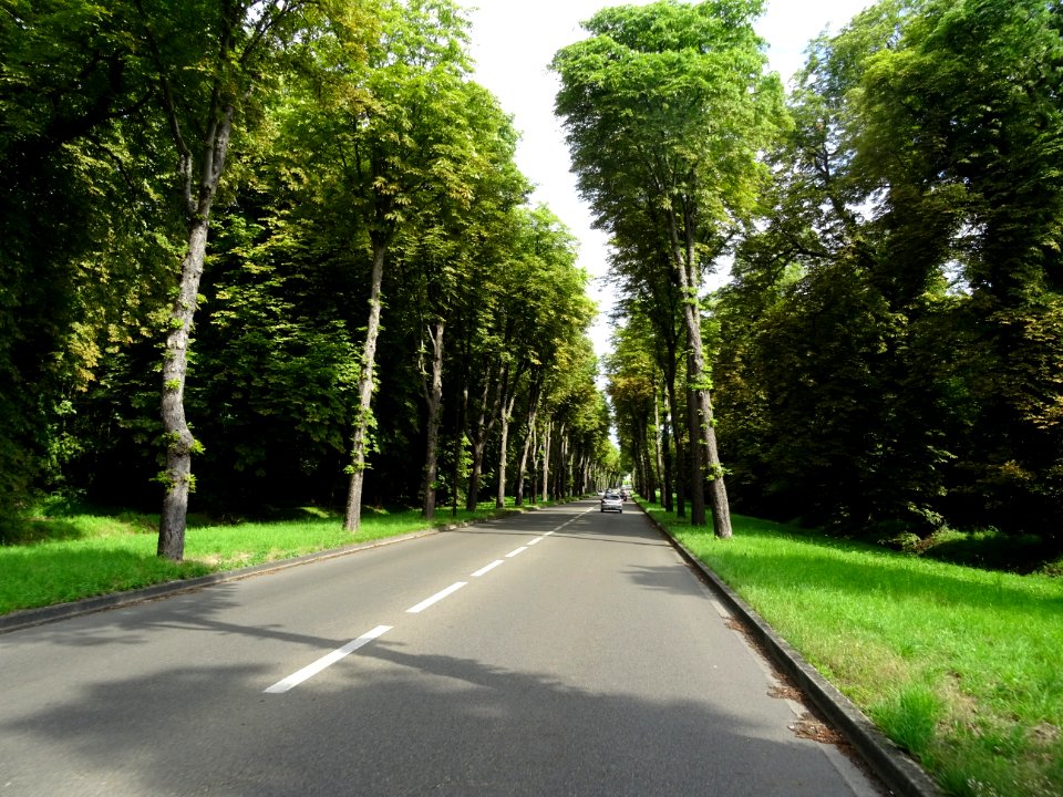 Entre Poissy et St-Germain-en-Laye, Yvelines 