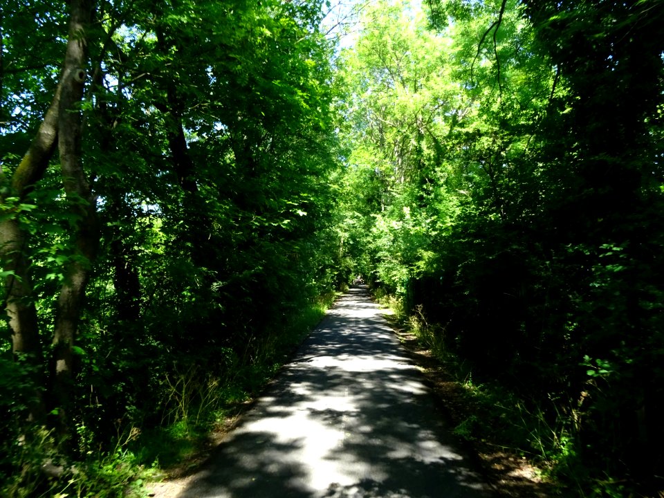 Sur la piste cyclable, le long du canal de l'Ourcq, Sevran… 