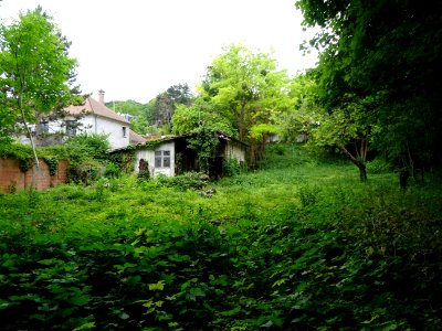 DSC04115 