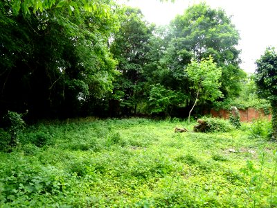 DSC04134 