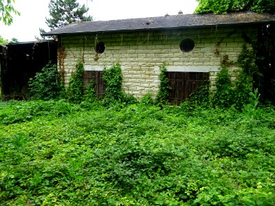 Ronciers et maison, Vaux-sur-Seine, Yvelines 