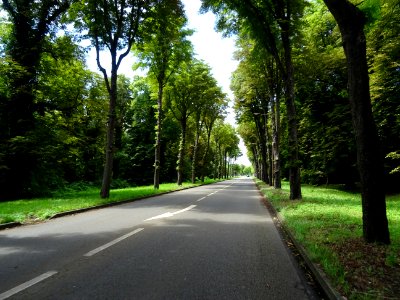 Entre Saint-Germain-en-Laye et Poissy, Yvelines 