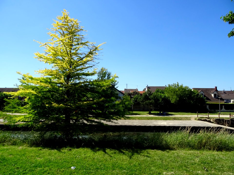 Sur la piste cyclable le long du canal de l'Ourcq, Aulnay-… 