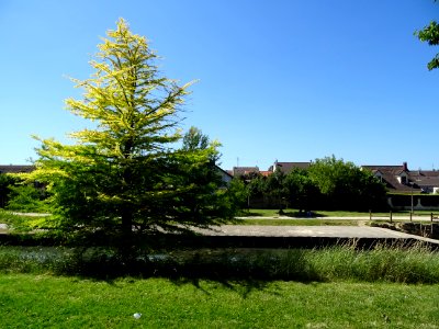 Sur la piste cyclable le long du canal de l'Ourcq, Aulnay-… 