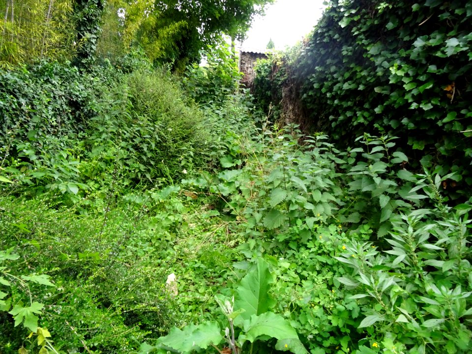DSC04149 
