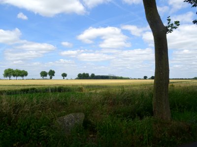 DSC04227 