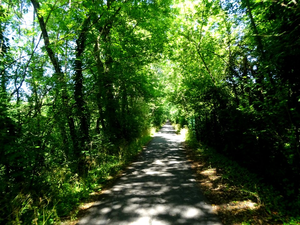 Sur la piste cyclable, le long du canal de l'Ourcq, Sevran… 
