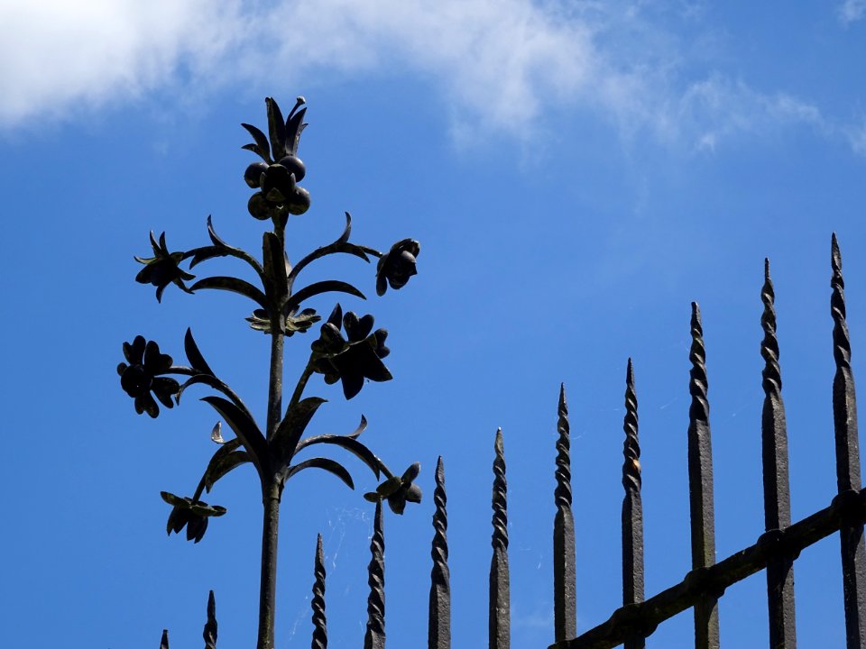Détail de la grille, Château de Vaux-le-Vicomte, Maincy, S… 