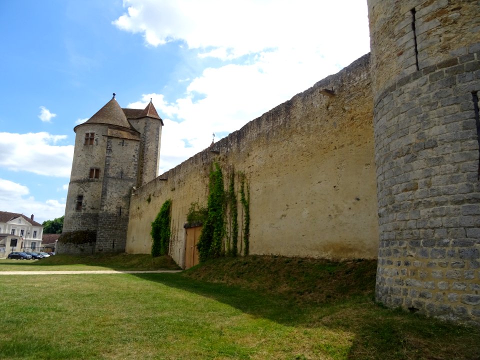Château de Blandy-les-Tours, château fort médiéval du XIII… 