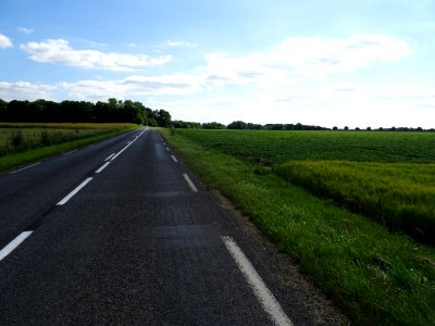 DSC04395 