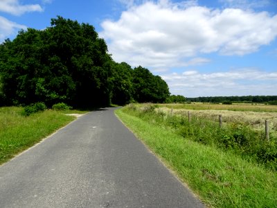 DSC04287 