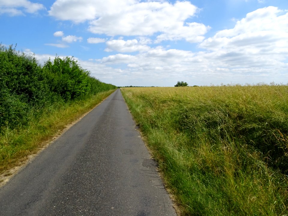 DSC04293 