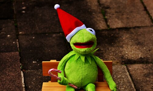 Santa hat cute funny