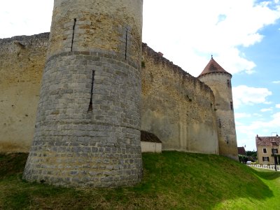 Château de Blandy-les-Tours, château fort médiéval du XIII… 