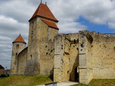 Château de Blandy-les-Tours, château fort médiéval du XIII… 
