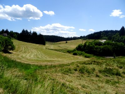 Le temps des fenaisons, Loire 
