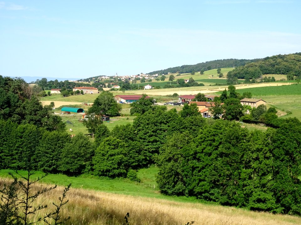 Vue vers Chazelles-sur-Lyon, Loire 