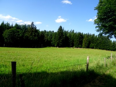 La chaleur est encore accablante, alors que j'aperçois par… 