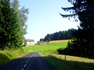 DSC05388 