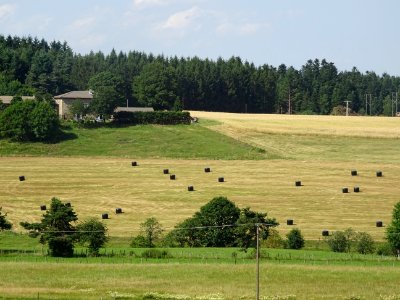 DSC05354 