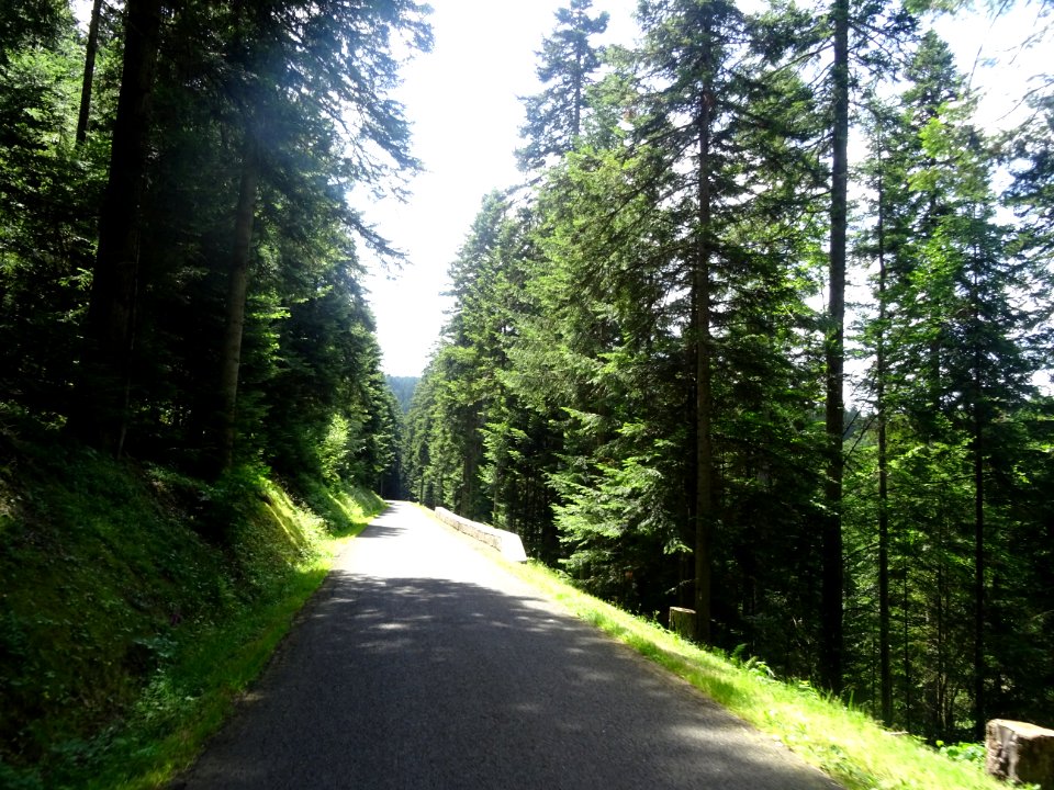 Traversée du Parc Naturel Régional du Pilat, entre St-Régi… 