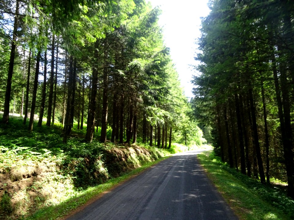 Traversée du Parc Naturel Régional du Pilat, entre St-Régi… 