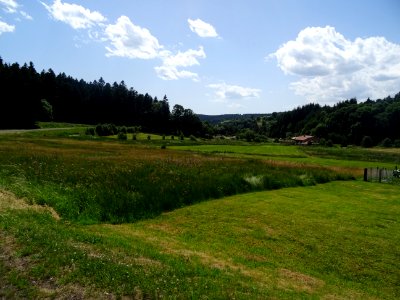 DSC05284 