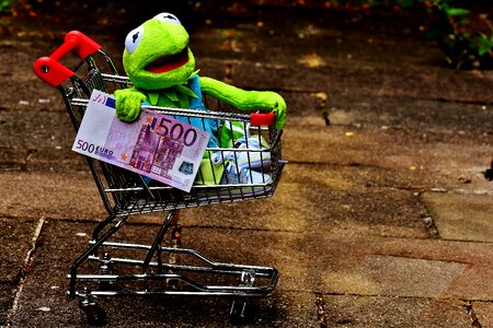 Frog fun stuffed animal