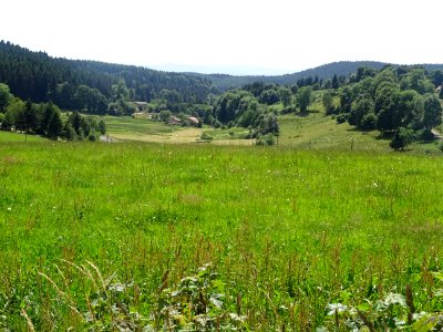 DSC05280 