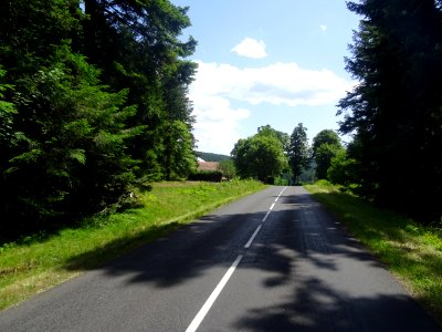 DSC05278 