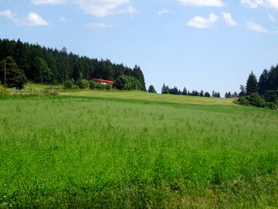 DSC05266 
