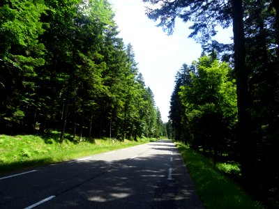 La montée au Col de la République s'adoucit sur les dernie… 