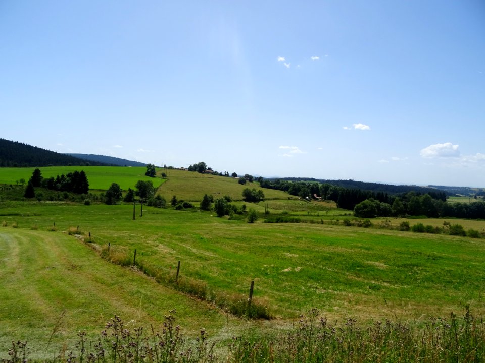 DSC05225 