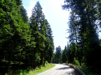 La montée au Col de la République s'adoucit sur les dernie… 