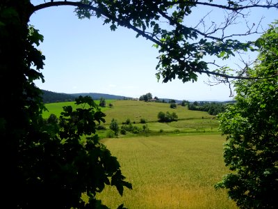 A travers arbres et buissons, vue sur les champs 