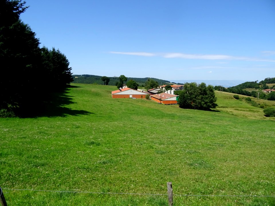 Lieu-dit Prajalas, entre Laurisse et le col du Pilon, mo… 