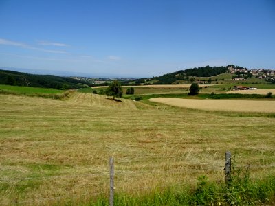 DSC05167 