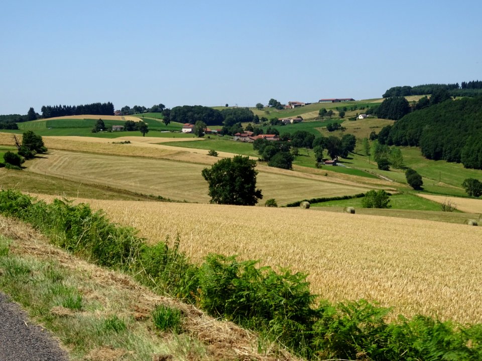 Entre Laurisse et le col du Pilon, monts du Lyonnais, Loir… 