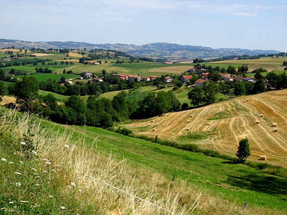 Vue depuis Grammond, Loire 