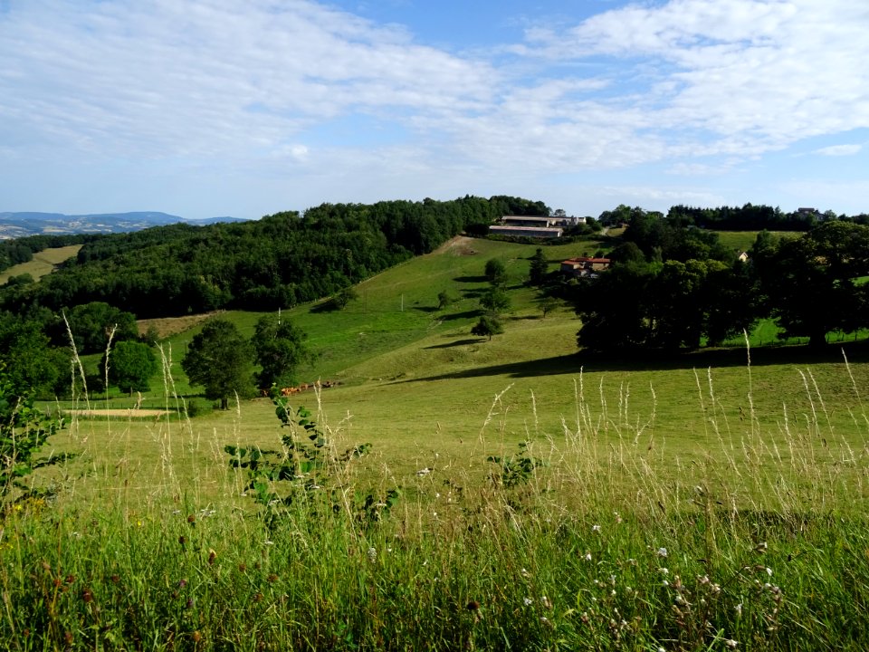 Prairies, bois et cultures, monts du Lyonnais entre Yzeron… 