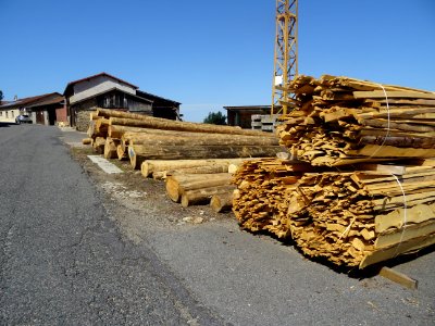 Grumes écorcées et premières découpes, scierie de Grammond… 