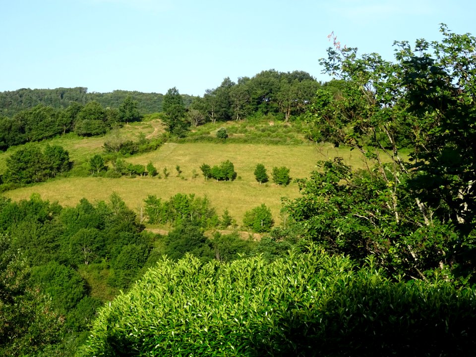 Premier matin, la vue depuis Yzeron, Rhône 