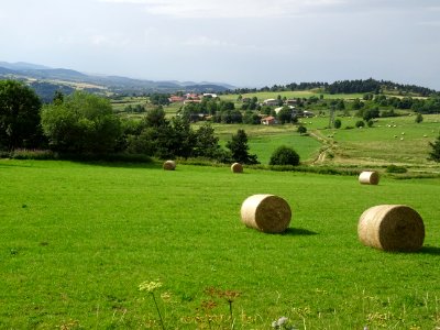 DSC05611 