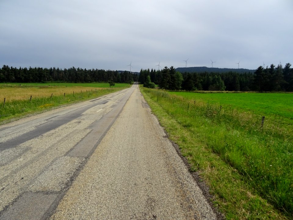 Entre Coucouron et Pradelles, la D110 traverse le Bois de … 