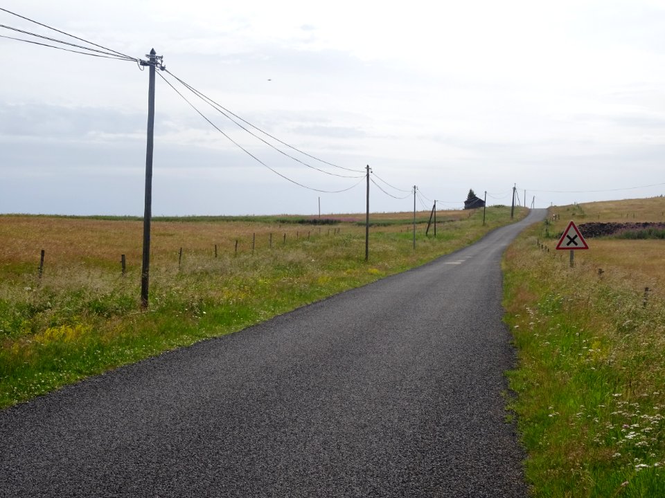 La petite route sans fin qui me mènera peut-être ... jusqu… 