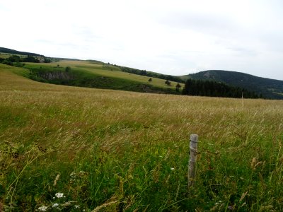 DSC05485 