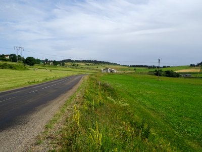 DSC05606 