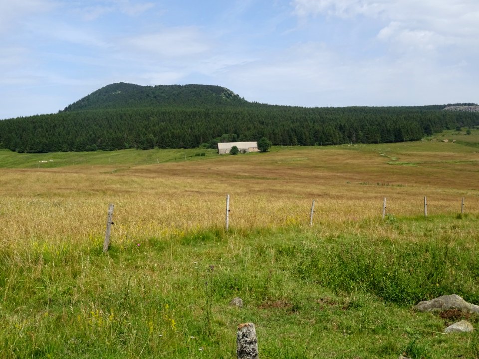 Ferme du Pré du Bois, derrière à gauche, le Suc de Taupern… 