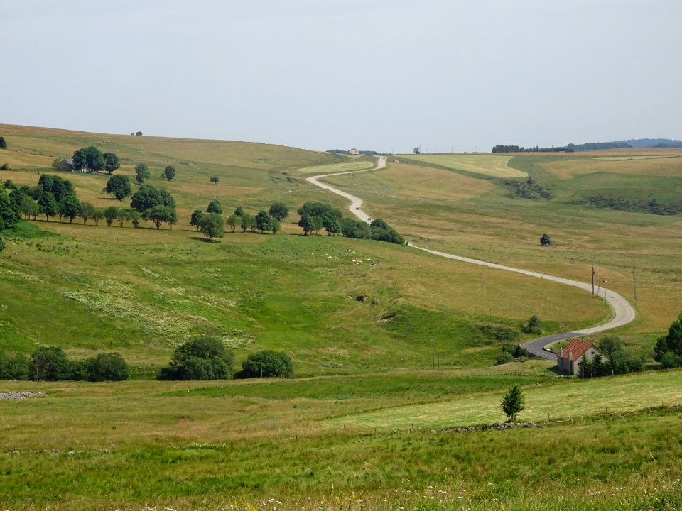 La route entre le Mont Mézenc et le Mont Gerbier de Jonc 