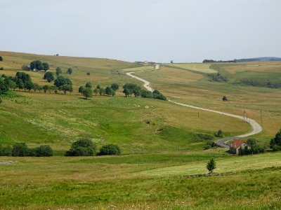 La route entre le Mont Mézenc et le Mont Gerbier de Jonc photo